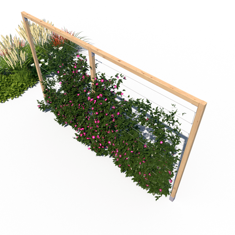 Pergola R 240x400 model v6 rosliny.png