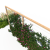 Pergola R 240x400 model v6.1 rosliny.png