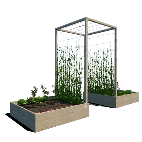 warzywnik 120x125x29 L podwójny v2 rosliny.png