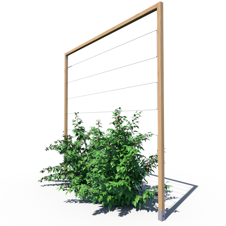 GSS R mini 180×189 – podpora do malin i jeżyn.PNG