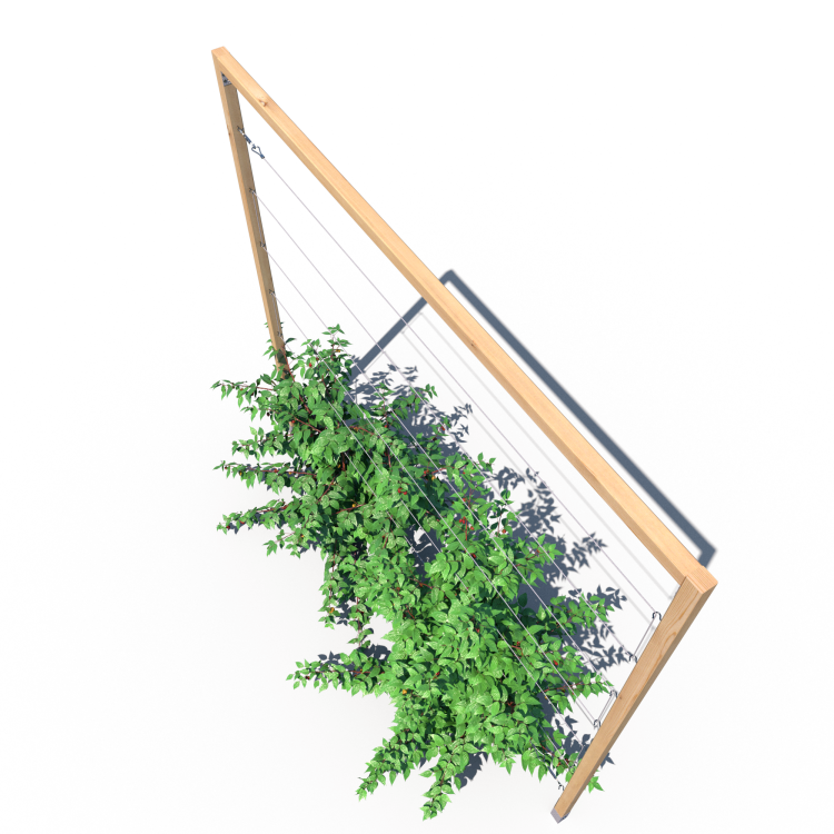 GSS R mini 180×189 – podpora do malin i jeżyn.PNG