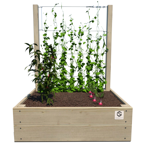 Warzywnik 800x600x29 S Junior v1 rośliny.png