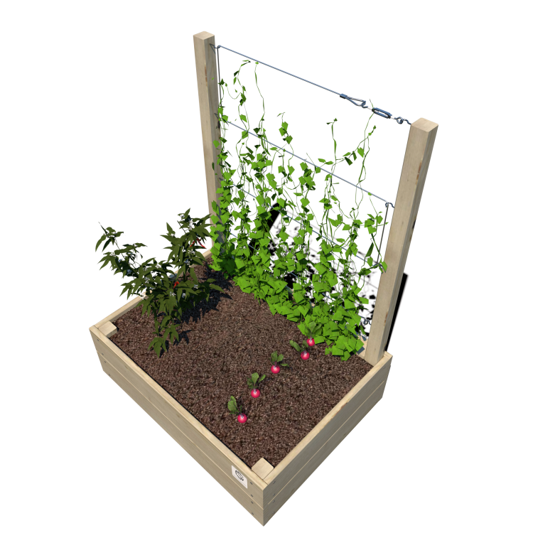 Warzywnik 800x600x29 S Junior v4 rośliny.png