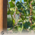Pergola S mini_20240615_182831_0000.png