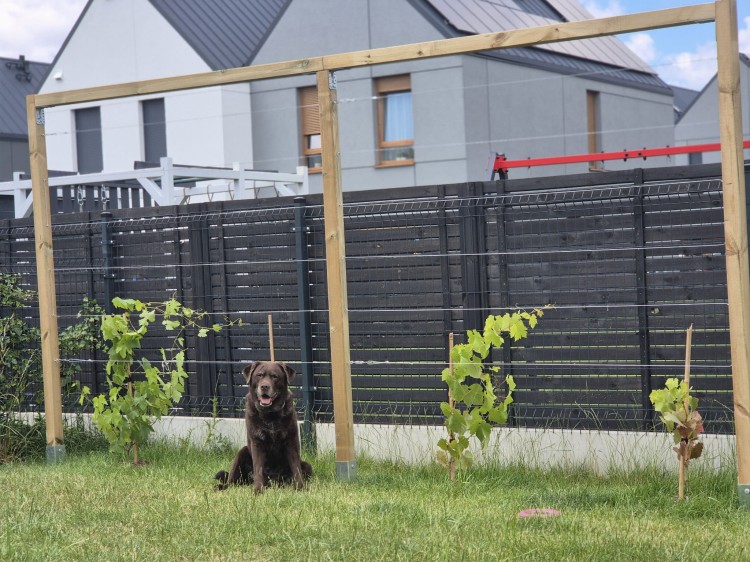 Pergola R GSS - realizacja.jpg