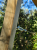 greenstrand-pergola-k-mini-natural-cable-fixing-detail_01.png