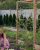 greenstrand-pergola-k-mini-natural-real-garden.png