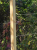 greenstrand-pergola-k-mini-natural-cable-fixing-detail.png