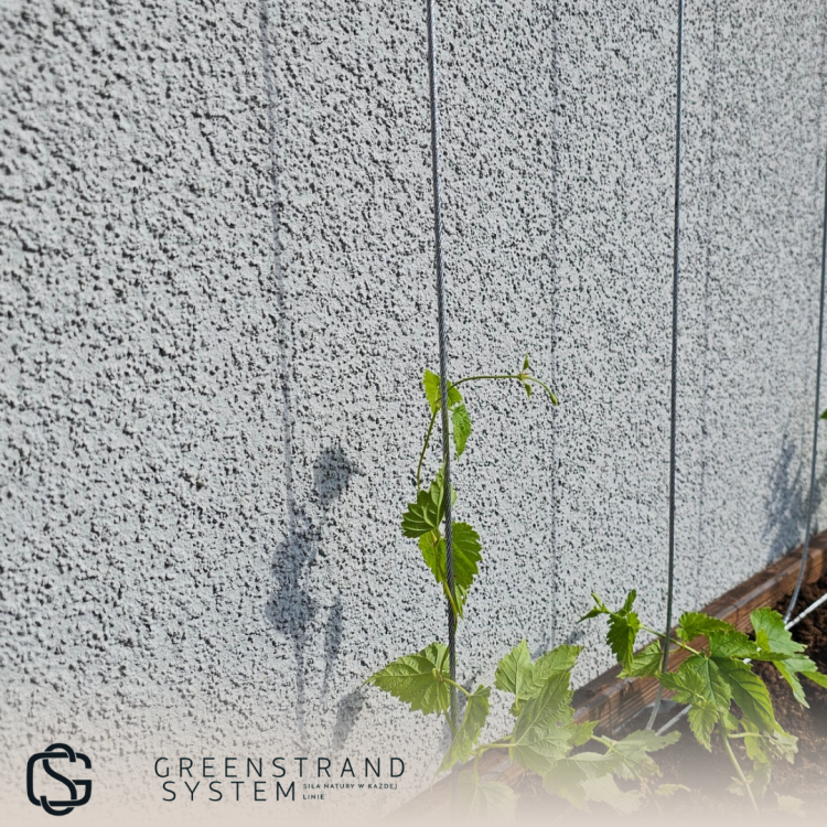 GSS pergola balkonowa P3 (2).png