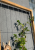 GSS pergola balkonowa P1 688x976.png