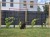 Pergola R GSS - realizacja1.jpg