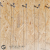 Zielona sciana GSS zestaw 1 (4).png
