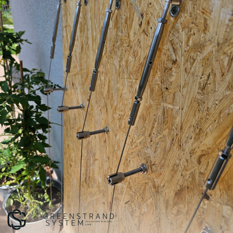 Zielona sciana zestaw3.png