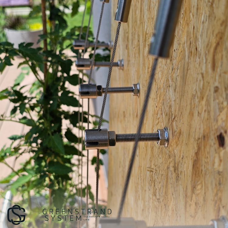 Zielona sciana zestaw31.png