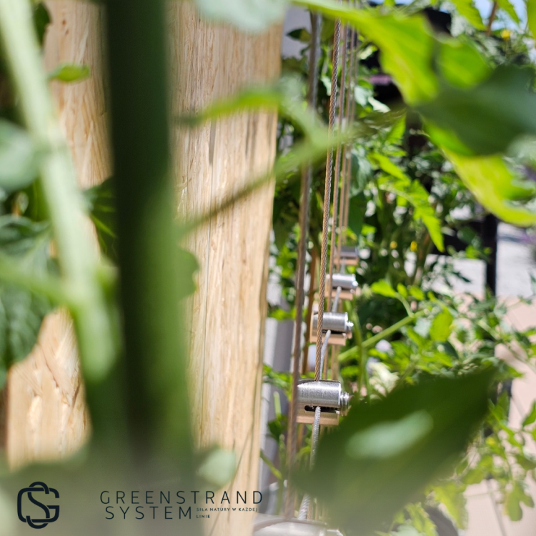 Zielona ściana zestaw 41.png