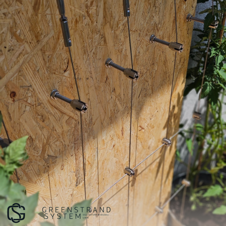 Zielona ściana zestaw 43.png