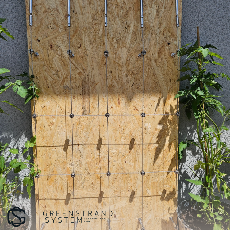 Zielona ściana zestaw 46.png