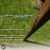 Pergola S mini_20240615_183029_0000.png