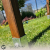 Pergola S mini_20240615_184632_0000.png