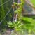 Pergola R GSS - realizacja LJ logo 8.png