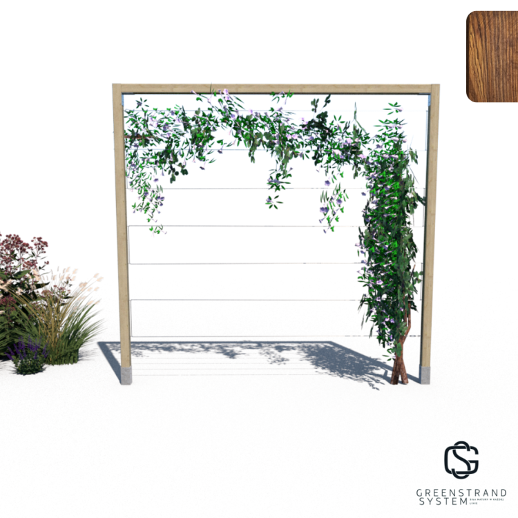 Pergola R 2.4 240x254 render rośliny - ciemny dab.png