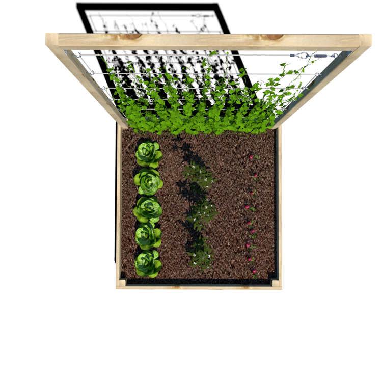 Warzywnik 120x125x180x29 rośliyny v5.png