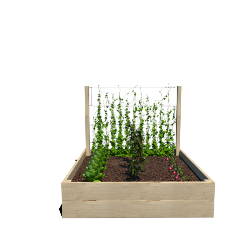 Warzywnik 120x125x105x29 rośliny v1.png