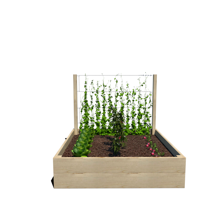 Warzywnik 120x125x105x29 rośliny v1.png