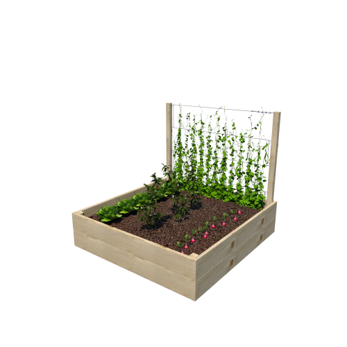 Warzywnik 120x125x105x29 rośliny v2.png