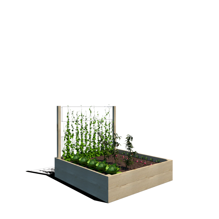 Warzywnik 120x125x105x29 rośliny v3.png