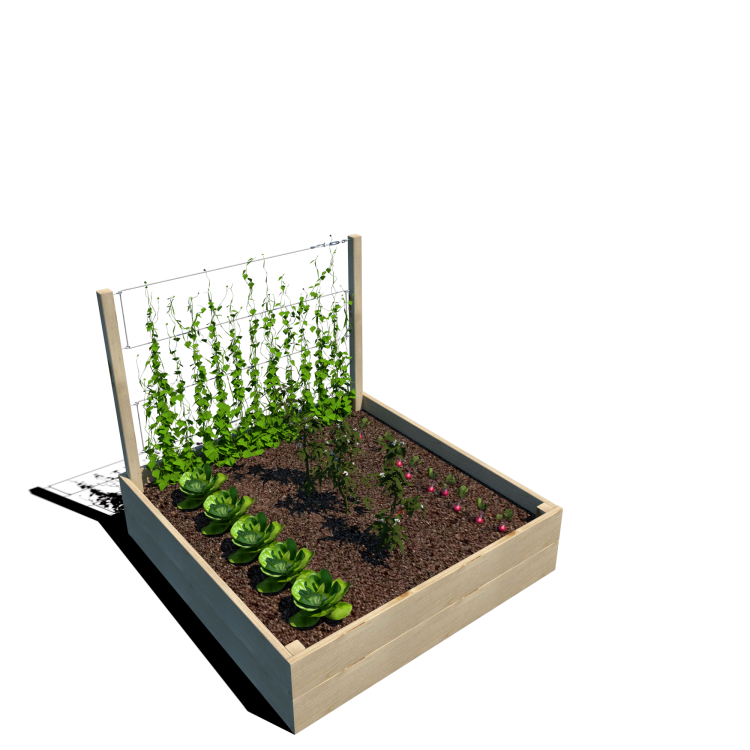 Warzywnik 120x125x105x29 rośliny v4.png