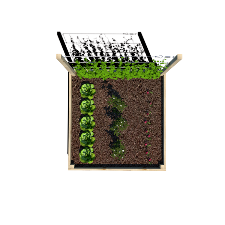 Warzywnik 120x125x105x29 rośliny v5.png