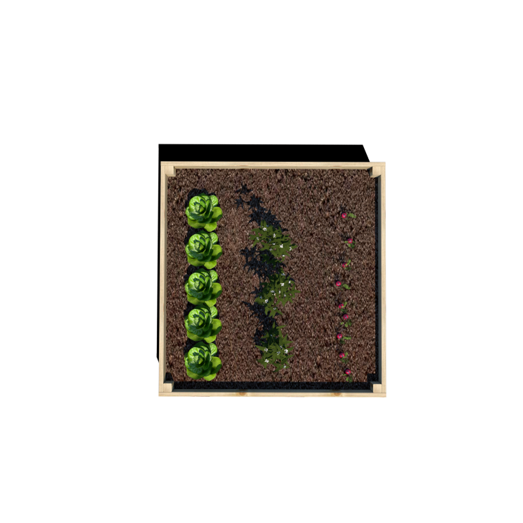 Warzywnik 120x125x29 rośliny v5.png