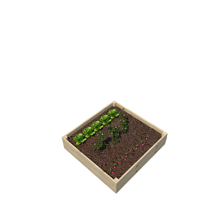 Warzywnik 120x125x29 rośliny v6.png