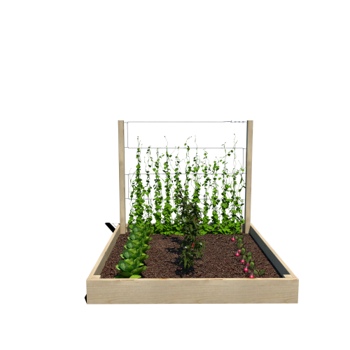 Warzywnik 120x125x105x14.5 rośliny v1.png