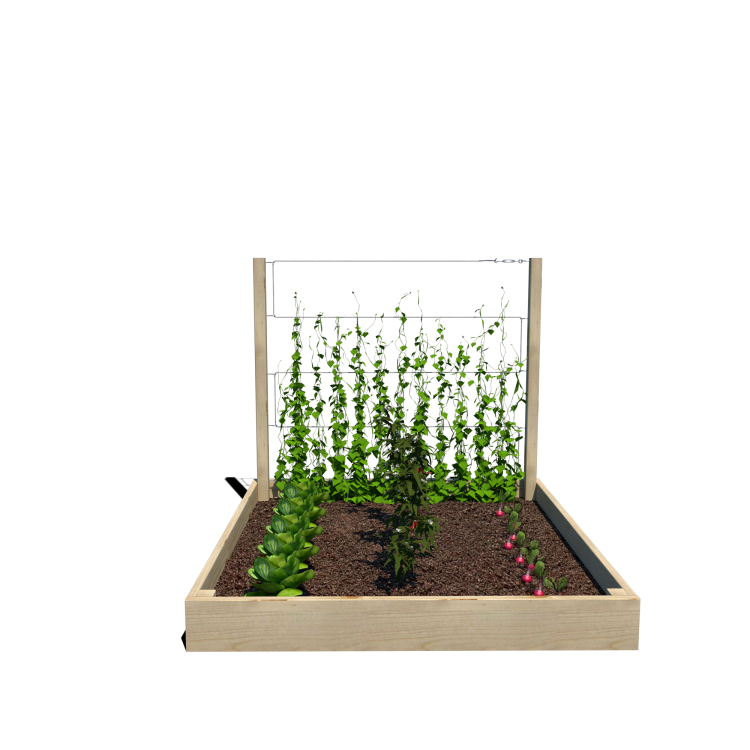 Warzywnik 120x125x105x14.5 rośliny v1.png