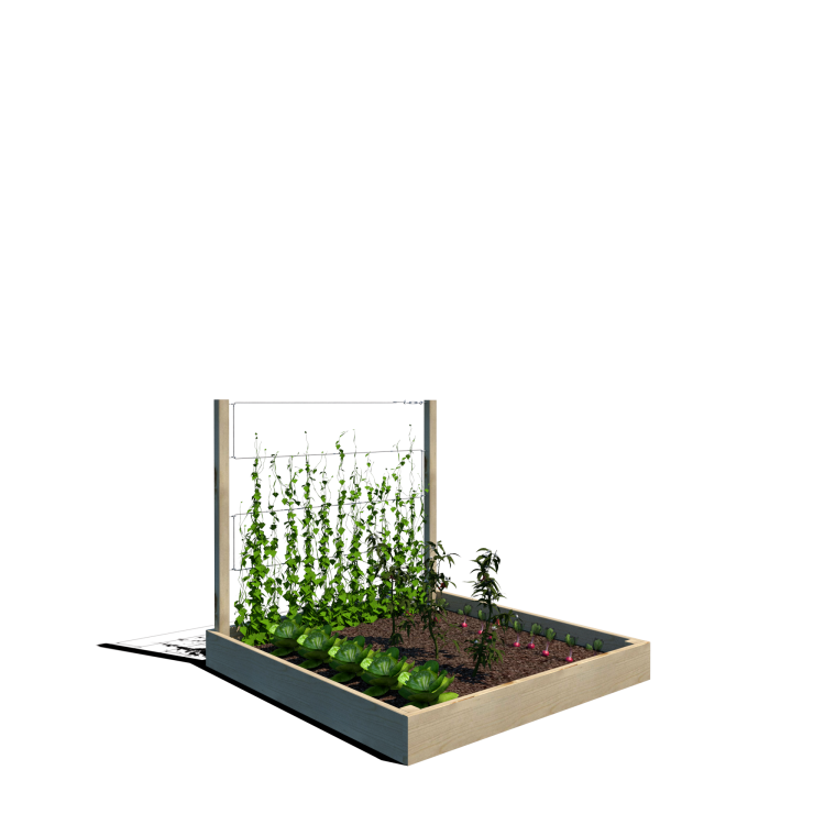 Warzywnik 120x125x105x14.5 rośliny v3.png