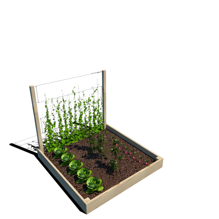 Warzywnik 120x125x105x14.5 rośliny v4.png
