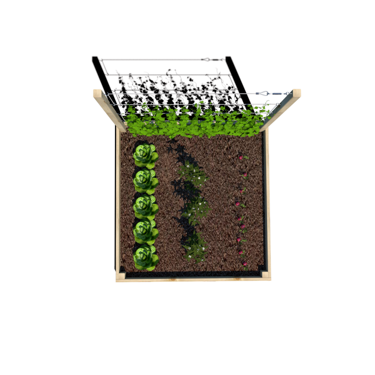 Warzywnik 120x125x105x14.5 rośliny v5.png