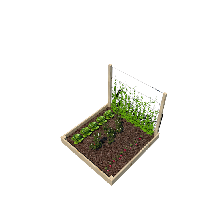 Warzywnik 120x125x105x14.5 rośliny v6.png