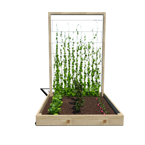 Warzywnik 120x125x180x14.5 rośliny v1.png