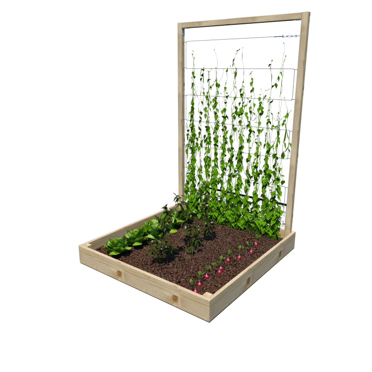 Warzywnik 120x125x180x14.5 rośliny v2.png