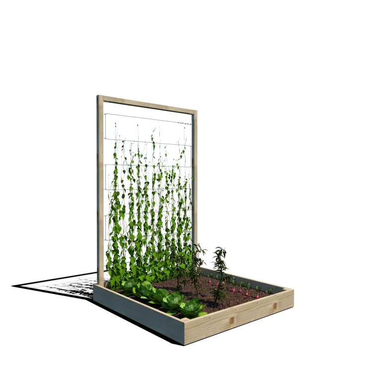 Warzywnik 120x125x180x14.5 rośliny v3.png