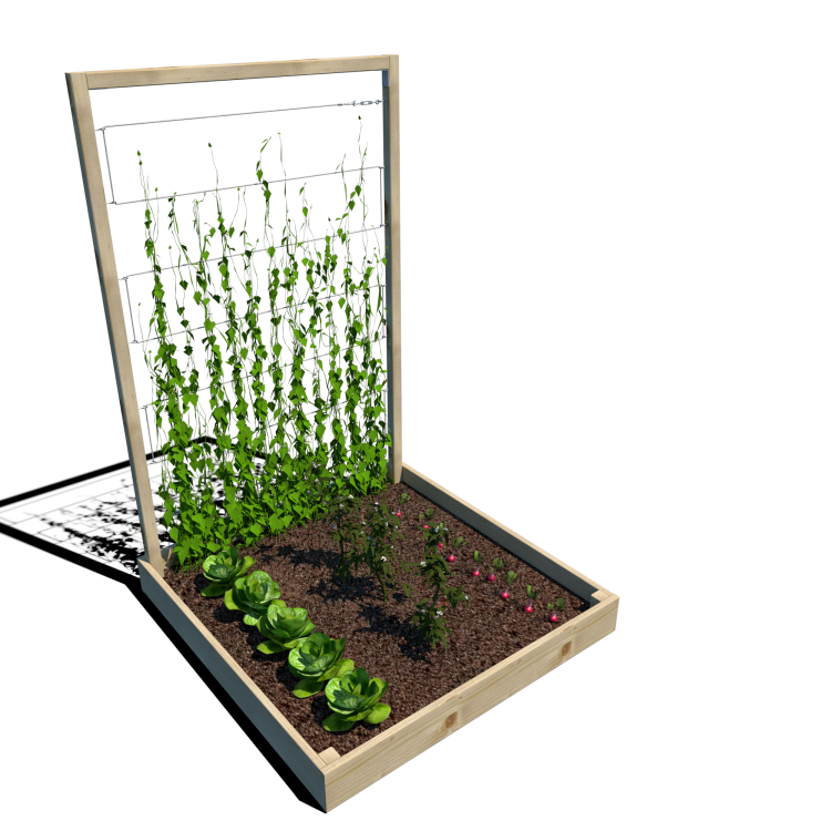 Warzywnik 120x125x180x14.5 rośliny v4.png