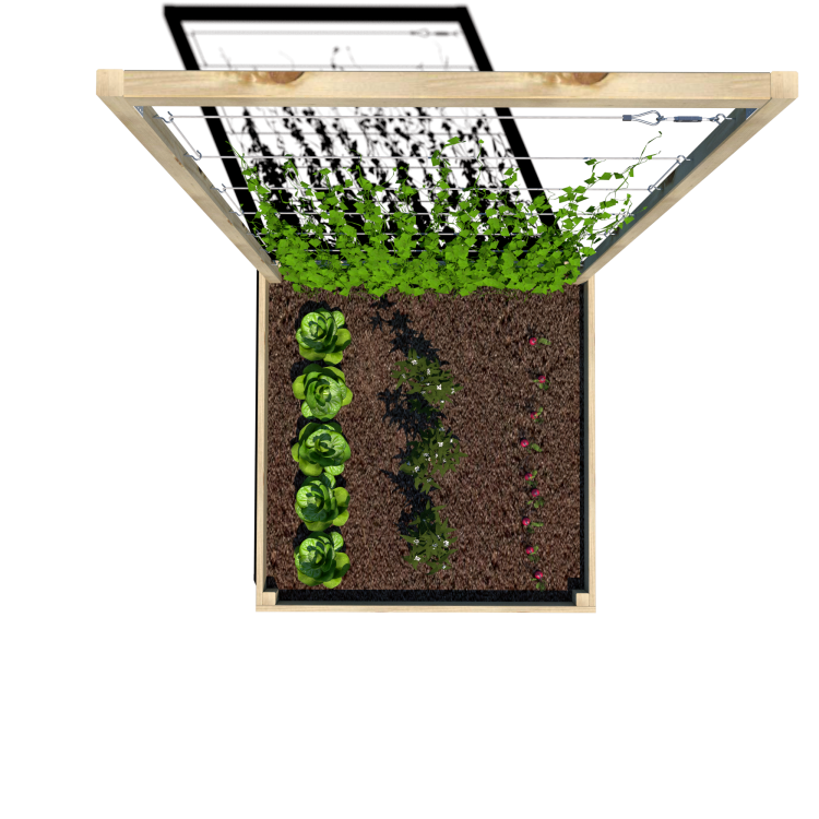 Warzywnik 120x125x180x14.5 rośliny v5.png