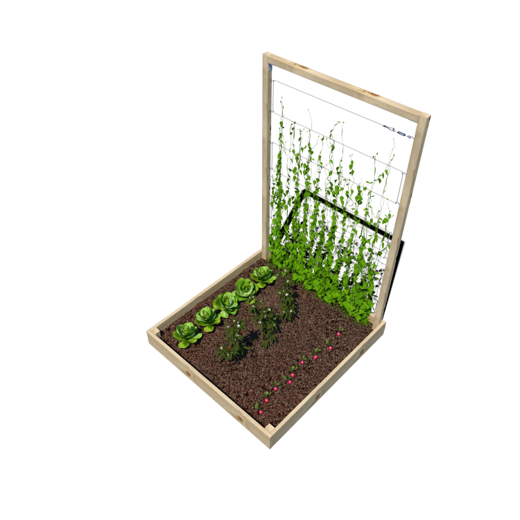 Warzywnik 120x125x180x14.5 rośliny v6.png
