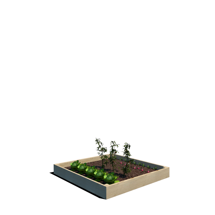 Warzywnik 120x125x14.5 rośliny v3.png