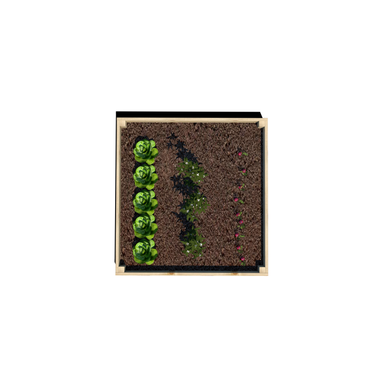 Warzywnik 120x125x14.5 rośliny v5.png