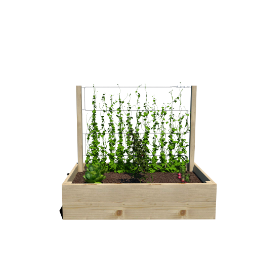 Warzywnik 120x65x105x29 rośliny v1.png