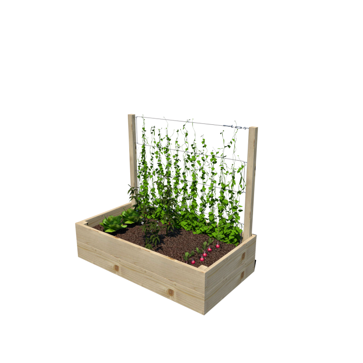 Warzywnik 120x65x105x29 rośliny v2.png